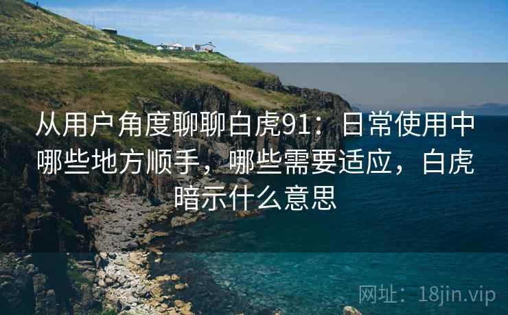 从用户角度聊聊白虎91:日常使用中哪些地方顺手,哪些需要适应,白虎暗示什么意思 从用户角度聊聊白虎91:日常使用中哪些地方顺手,哪些需要适应,白虎暗示什么意思