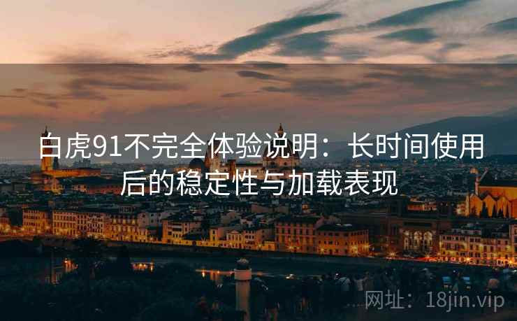 白虎91不完全体验说明：长时间使用后的稳定性与加载表现