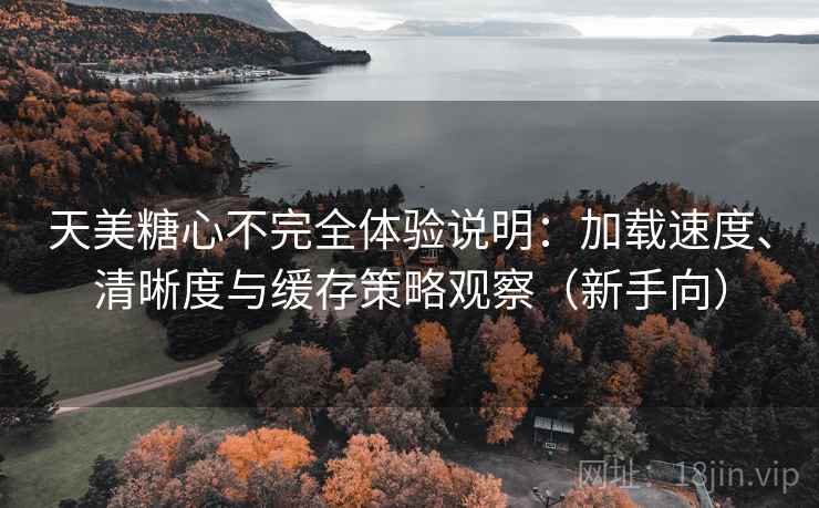 天美糖心不完全体验说明：加载速度、清晰度与缓存策略观察（新手向）