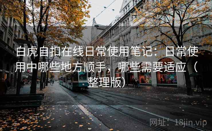 白虎自扣在线日常使用笔记：日常使用中哪些地方顺手，哪些需要适应（整理版）