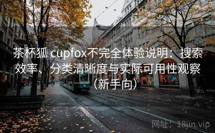 茶杯狐 cupfox不完全体验说明：搜索效率、分类清晰度与实际可用性观察（新手向）